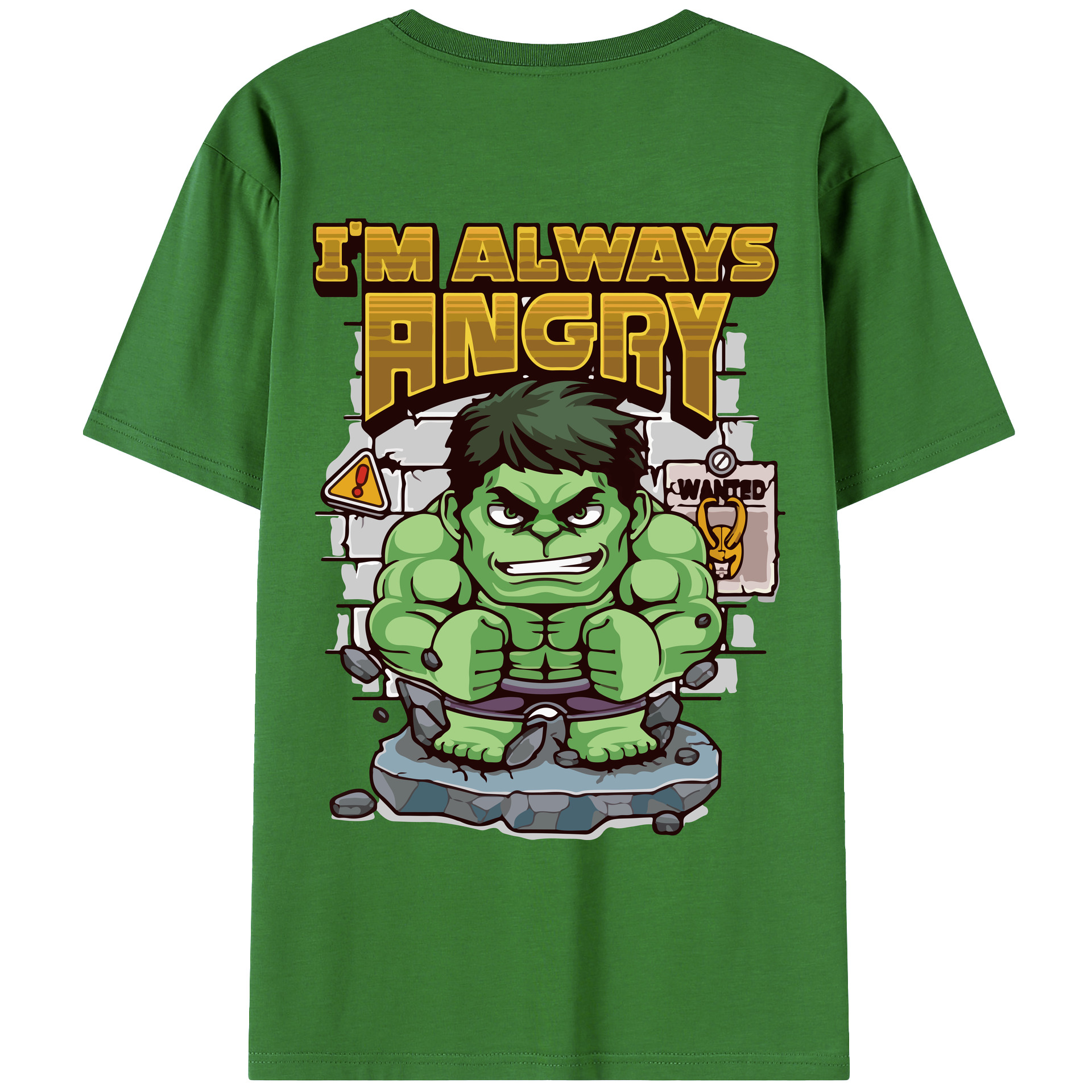 （画像用） アベンジャーズ The Avengers レディース半袖Tシャツ(バックプリント)